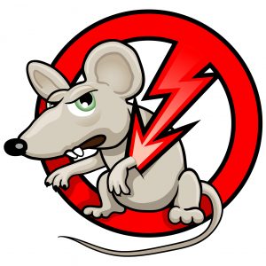 how to kill rats