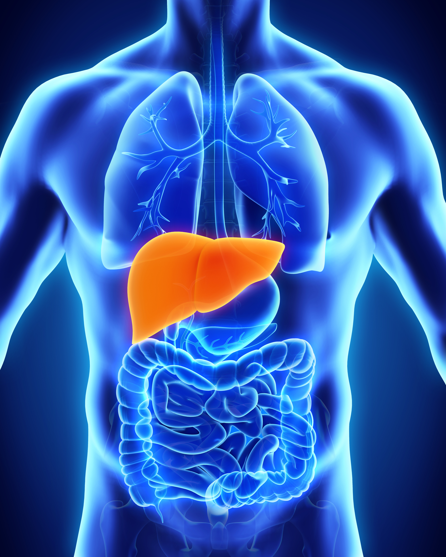 how to cleanse liver