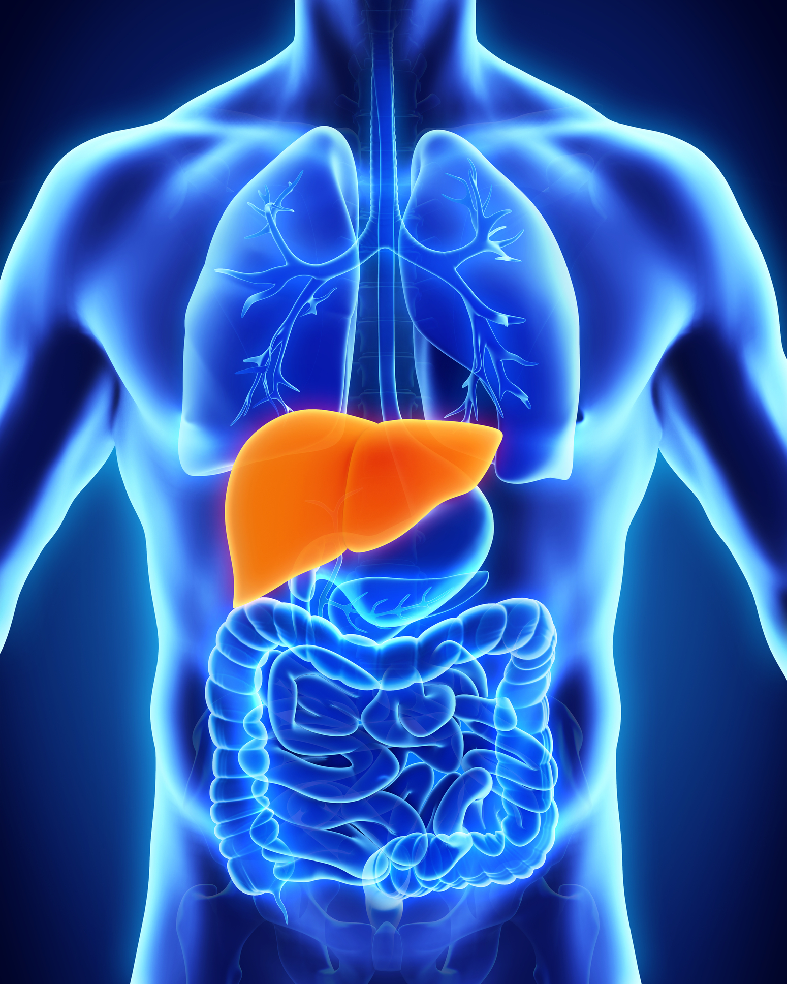 7-foods-that-naturally-cleanse-the-liver-my-simple-remedies