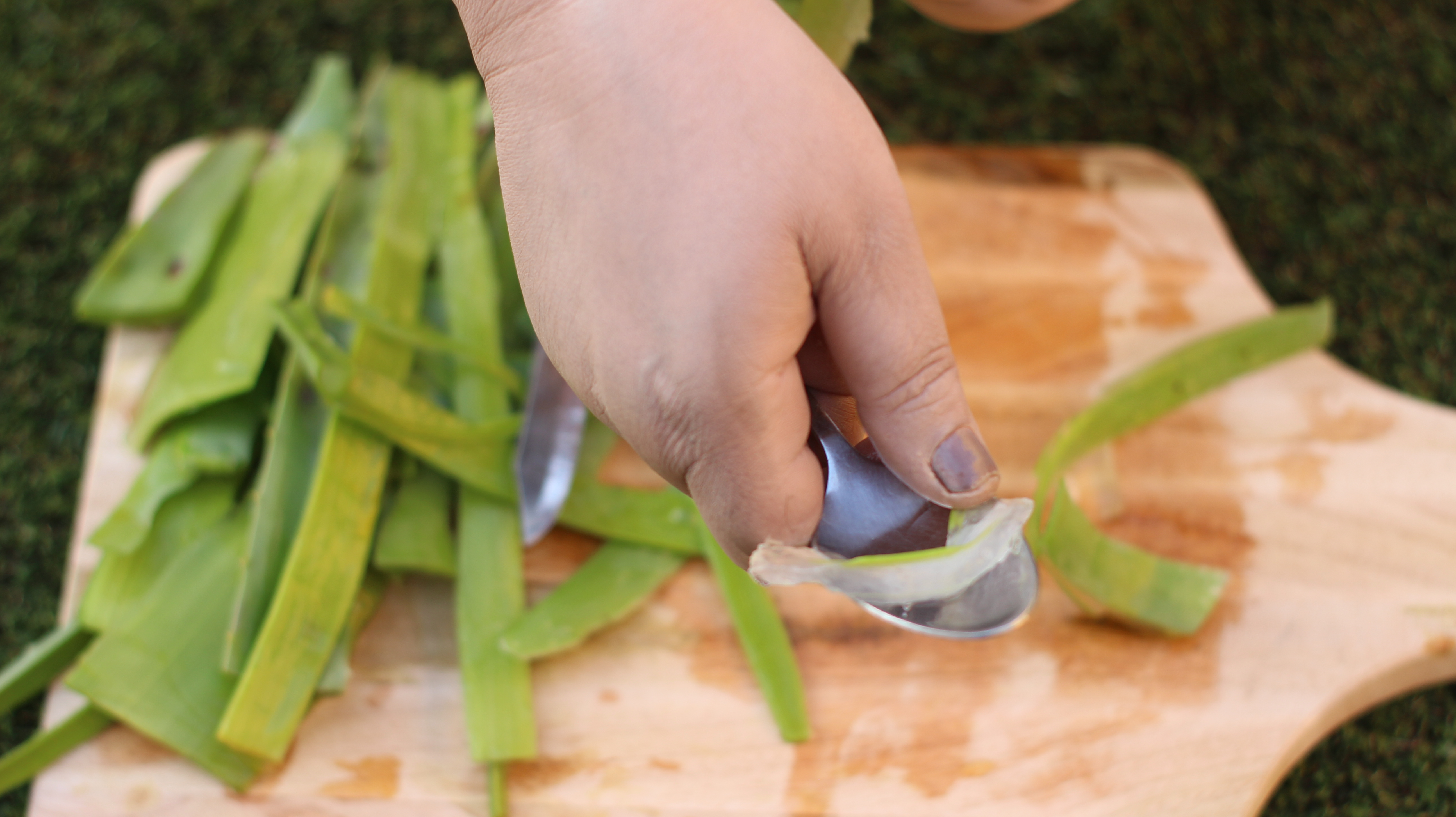 how to make aloe vera gel