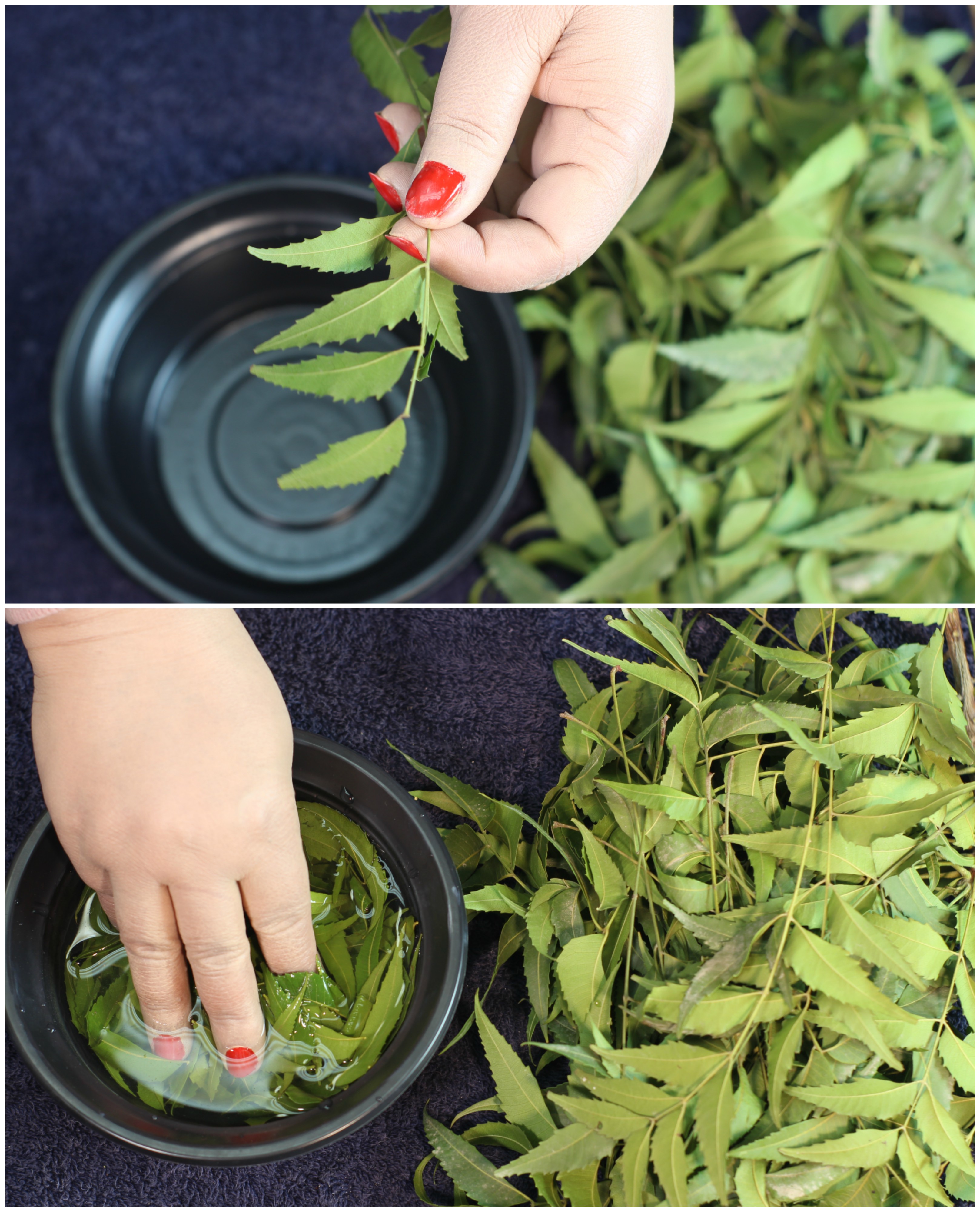 how-to-use-neem-oil-for-hair-growth-benefits-of-neem-leaves-my