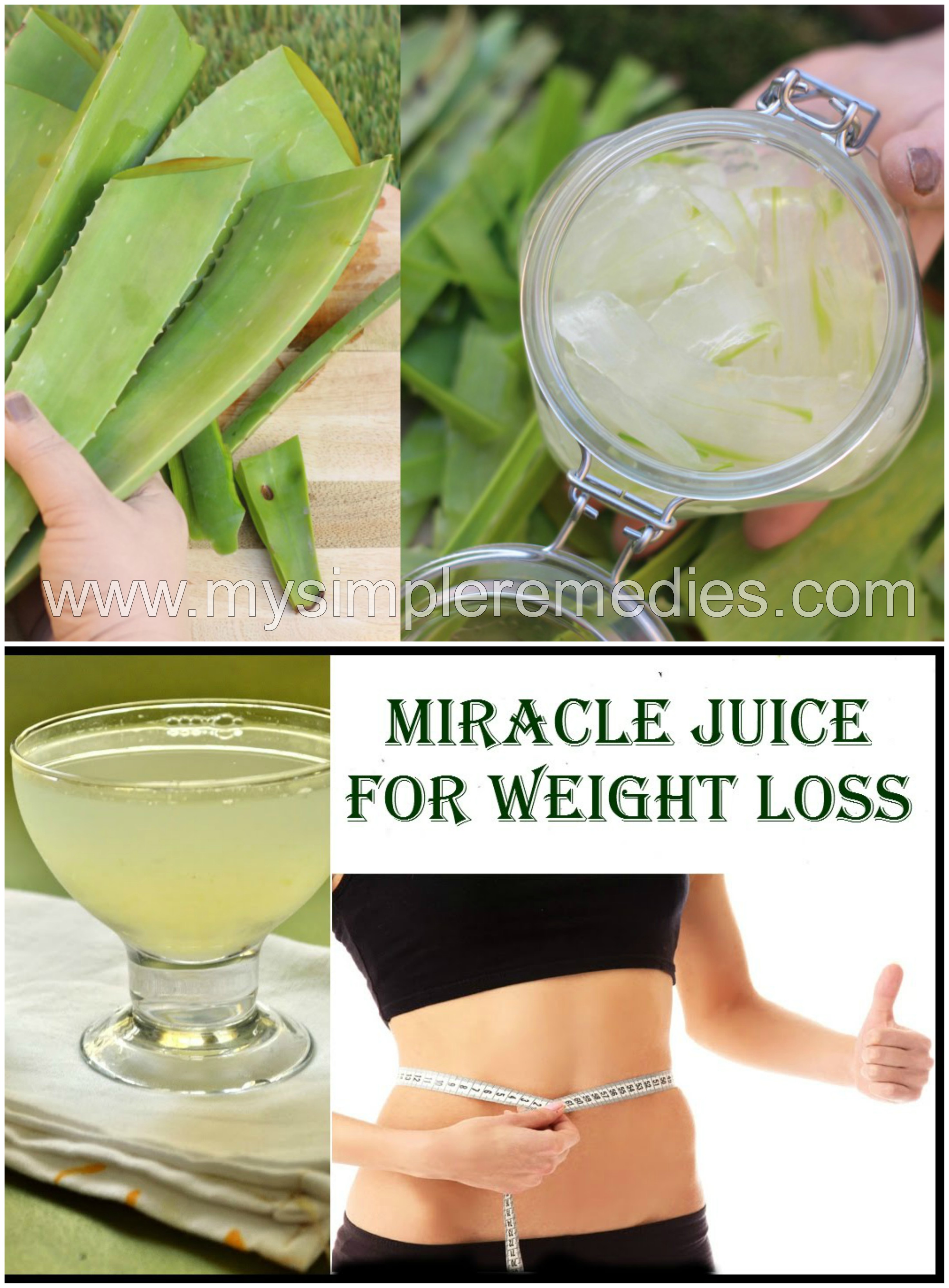 weight loss diet plan