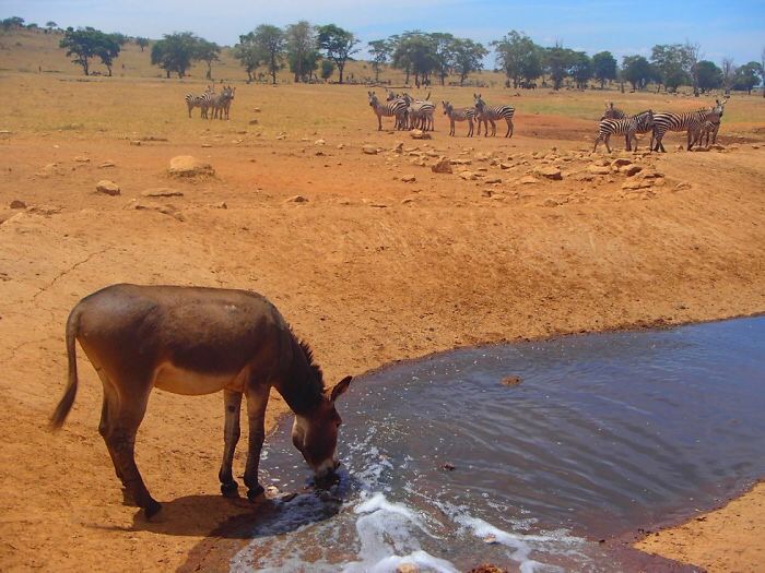 23 Photos Proving That Kindness Is What Holds the World Together