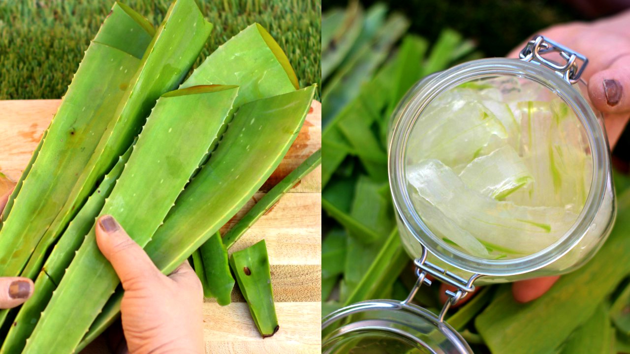 Share on Twitter. how to make aloe vera gel and benefits of aloevera gel. 